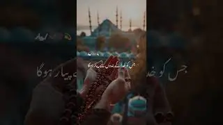 🌱Khuda Ke Bande To Hai💯 Hajaro💕😌