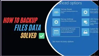 How to Backup C Data When Windows is Damaged | Blue Screen Errors