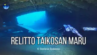 Immersione sul Relitto Taikosan Maru - Il Relitto della Timpa di Acireale (ex Relitto Terni) | 4K