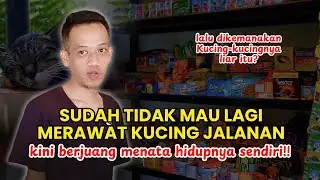Kucing yang dia rawat sudah di free adopsikan, kembali ke habitat asal. Kini dia menata hidupnya!