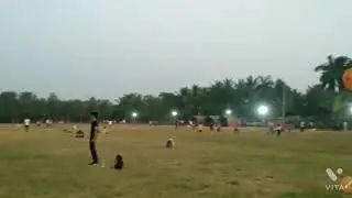 વાવ (સુરત) ગ્રાઉન્ડ માહિતી, Vav (surat) Ground Information