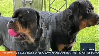 EXCLUSIVE UPDATE: BCSO meets with owner of dogs killed by deputies