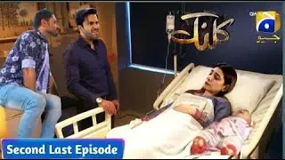 Sara Danial Shadi  | Kalank 2nd Last Episode Teaser Review | Kalank Episode&nbsp;50&nbsp;Promo