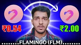 Flamingo Coin Long Term | 1 Year Investment Strategy Explained