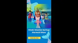 Weeki Wachee Springs Mermaid Show #Short