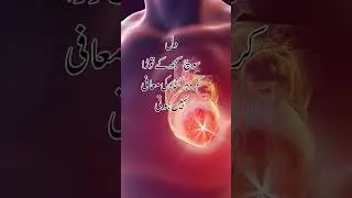 Let people say what they say | Allah Knows Your Reality | Motivational Short