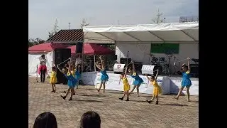 南行徳 Music Festival 2016　4.カレイジャス トワラーズ（南行徳バトンサークル）　   10/23