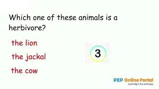 Ability Test Questions