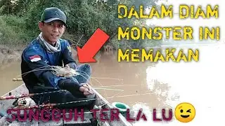 In silence this monster eats | Latest giant prawn fishing | prawn fishing