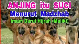 ANJING itu SUCI - Menurut Madzhab Imam Darul Hijrah (Malik bin Anas)