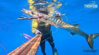Pesca Sub: 