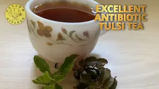 Excellent Antibiotic Tulsi Tea Recipe In Tamil | Holy Basil Tea | துளசி தேநீர்