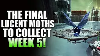 Destiny 2 Lucent Moth Locations Guide For Week 5! Final Week! Lepidopterist Triumph (Witch Queen)
