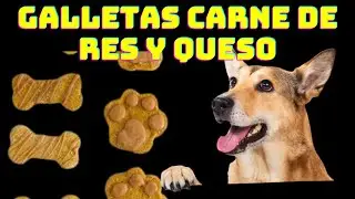 🔴Como preparar Galletas de  carne de res 🥯 y queso para Mascotas