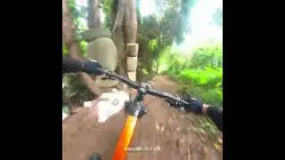 Papis Trail Michelle DH line Aug 17 2025