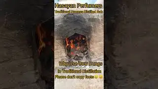 Ruh Khus Distillation | Cow Dungs Use | Traditional Distillation| Ruh Khus Aligarh | Wild Ruh Khus