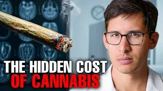 Ukryty koszt wsp&oacute;łczesnej marihuany dla zdrowia psychicznego
