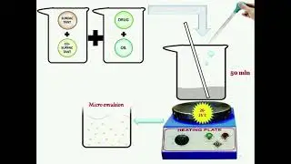 Self Micro Emulsifying Drug Delivery System (SMEDDS)
