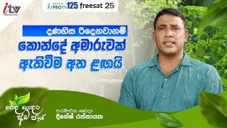 “දණහිස රිදෙනවානම් කොන්දේ අමාරුවක් ඇතිවීම අත ළඟයි” | වෙදගෙදර අඩපැය | iTV Sri Lanka | iTV SriLanka