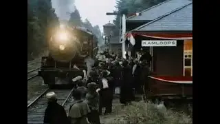 Top 10 Movies by Canadian Directors