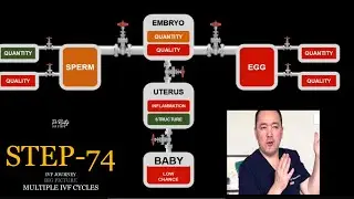Why some people may need multiple IVF Cycles!