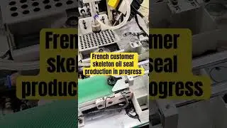 French customer skeleton oil seal production in progress