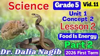 ساينس خامسة ابتدائى ترم اول 2026- 𝐒𝐜𝐢𝐞𝐧𝐜𝐞 𝐆𝐫𝐚𝐝𝐞 5 𝐂𝐨𝐧𝐜𝐞𝐩𝐭  2  𝐋𝐞𝐬𝐬𝐨𝐧 2 part 2