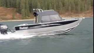 2017 Raider Boats 220 pro fish