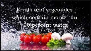 Water content in fruits and vegetables | Fruits and vegetables  which water contain more than 90%