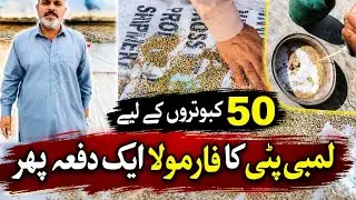 Lambi Patti ka formula Jo ke dudh se aur arid se banta hai pura formula #pigeon #kabutar 🕊🕊🕊🕊🕊🕊🕊💯💯💯💯