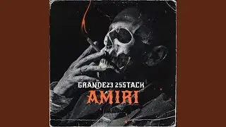 Amiri