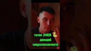 Тотем змеи даёт сверхспособности?  #тотем #змея #маг #мистика #магия #эзотерика #magic