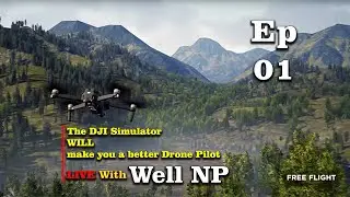 DJI  Free Flight Simulator With Well NP ||
