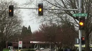 Standard McCain (FYA) Glowing on Green, Safetran & McCain Traffic Signal 🚦