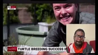 Freshwater turtles back populated