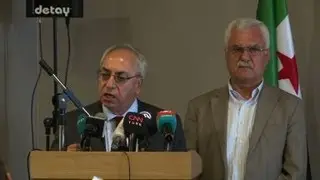 Syrian National Council renew calls for Assad to resign