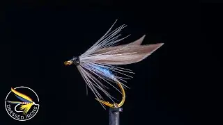 Tying the Gray Miller Wet Fly- Dressed Irons