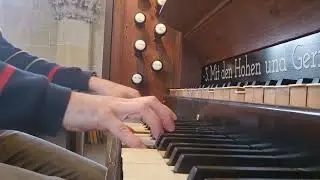 GL 240 H&ouml;rt, es sing und klingt mit Schalle (live vom Gottesdienst, mit Liedtext)