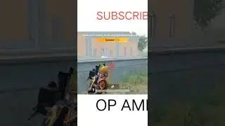 AMR THE BEAST GUN 