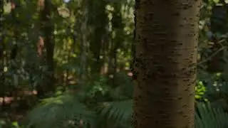 Visiting the world's first man made Glow Worm Sanctuary!