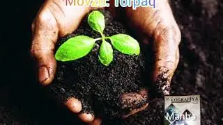 Torpaq mövzusu(VideoDərs)_Mahir Əmirzadə