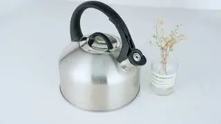 Stainless steel home use kettle FH-466