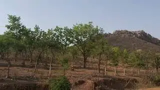 Travelview 13-4-2025 Video 6 #shortsvideo #shortsvideo #shortsvideoviral #short #shots #shortsviral