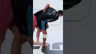 The BEST MATS Are Dollamur! 😤 #dollamur #mats