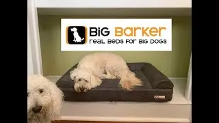 BIG BARKER DOG BED UPDATE