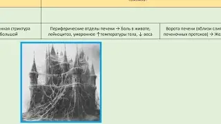 Холангиокарцинома. Воспалительная псевдоопухоль печени.