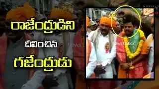 Raja Singh BJP MLA Felicitated by Elephant | Exclusive Videos| NewsUnbox