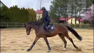 Le Balou flat video