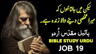 Job Chapter 19 - Bible Study in Urdu | Enduring Faith in the Face of Affliction | God is love