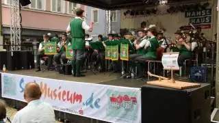 SaaleMusicum in Bad Br&uuml;ckenau